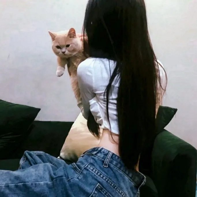 抛妻奇谈